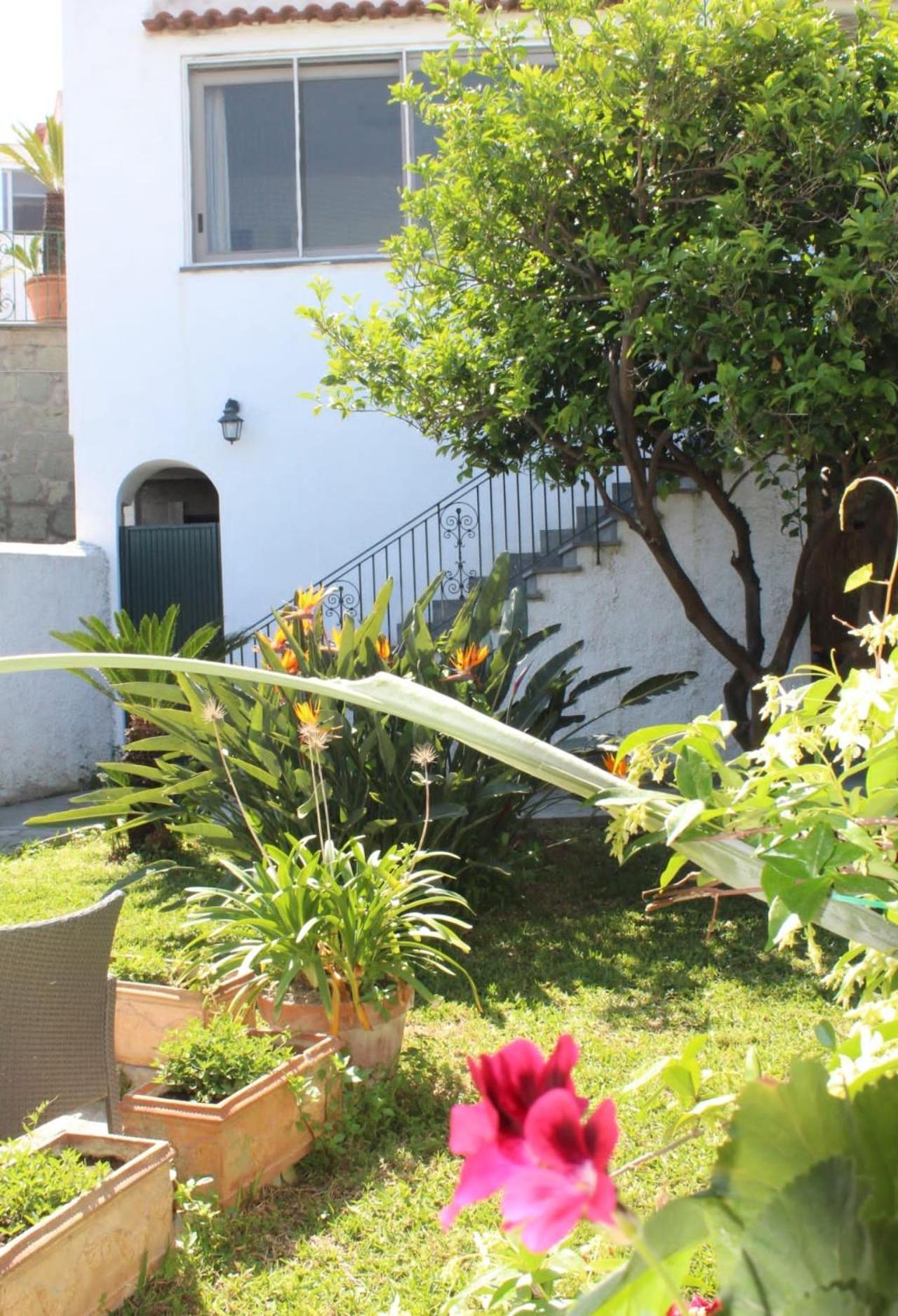 Villa Chez Marie Ischia Esterno foto
